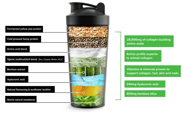 Vivo Life Vegan Collagen Builder ingredienten