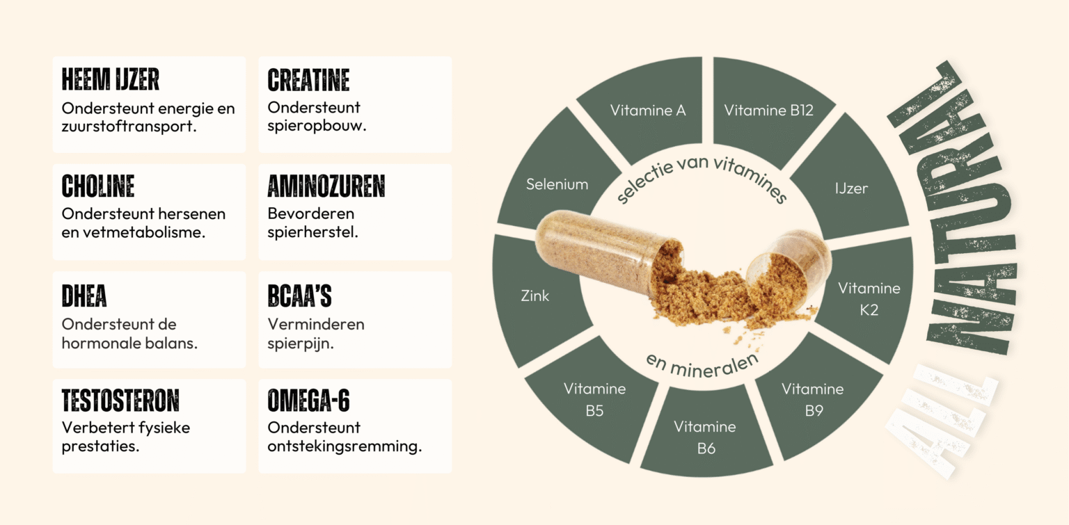 informatiebanier van Nannar met 9 essentiële nutriënten ter ondersteuning van testosteron